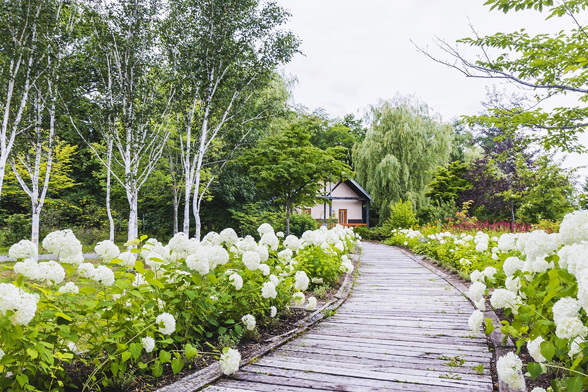 🏞️ 토카치 늪 정원(토카치 눗푸쿠 가덴) 이미지 4